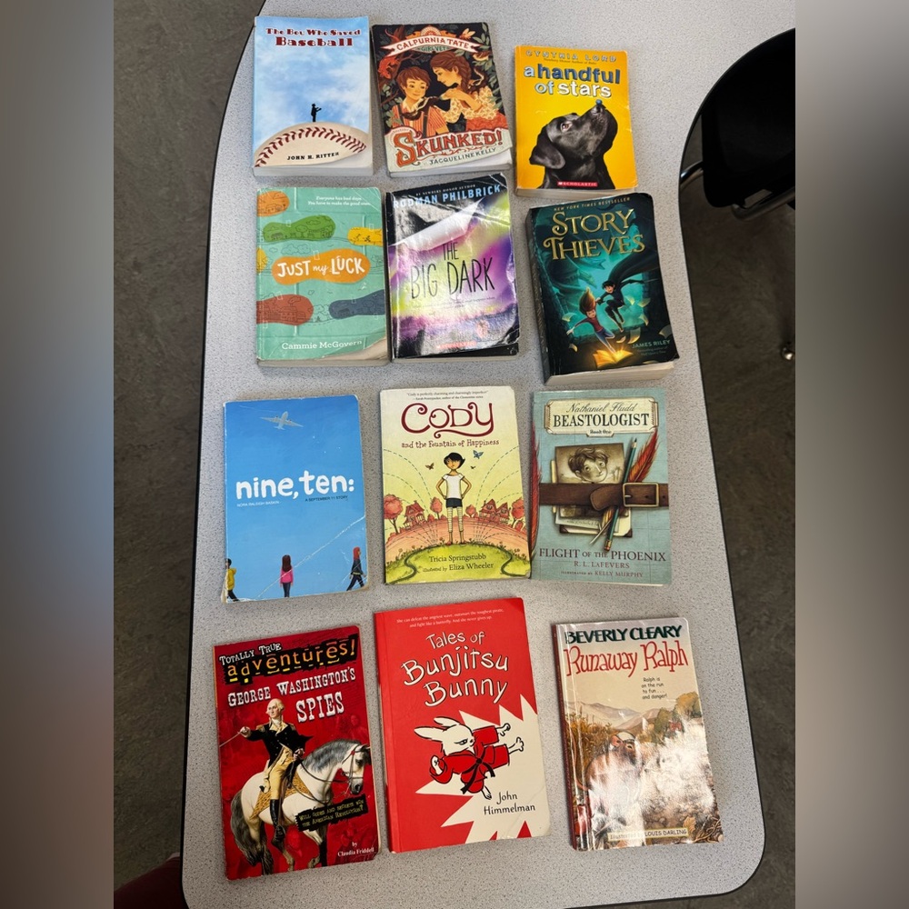 Assorted Children's Chapter Books